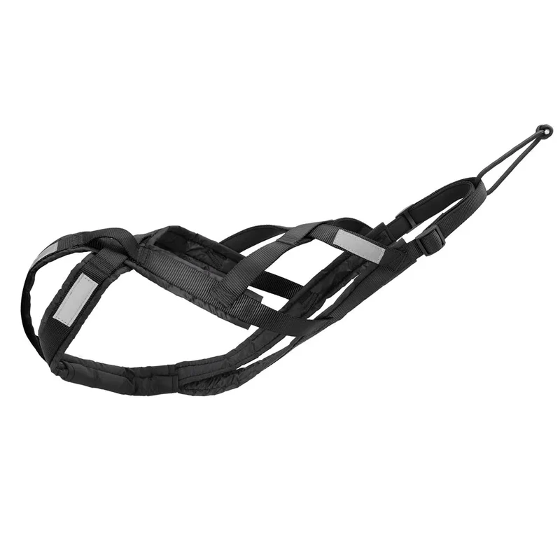Harnais de traction canicross