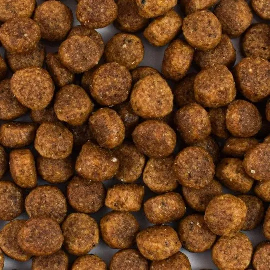 Croquettes chat sans céréales Saumon - Made in France - Nouveau Packaging