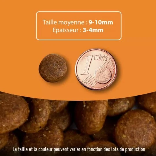 Croquettes chiot sans céréales Saumon-Poulet – Croissance & Digestion Made in France