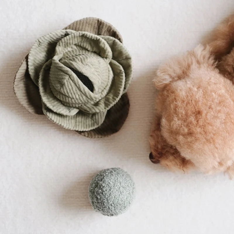 Jouet pour chien - Peluche de fouille + Pop Choux 🐾
