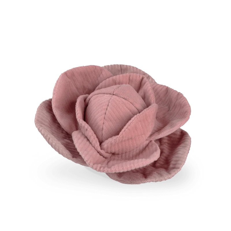 Jouet pour chien - Peluche de fouille + Pop Choux 🐾