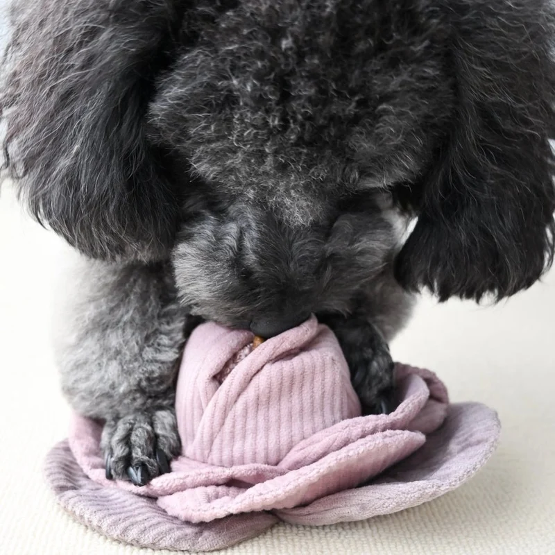 Jouet pour chien - Peluche de fouille + Pop Choux 🐾