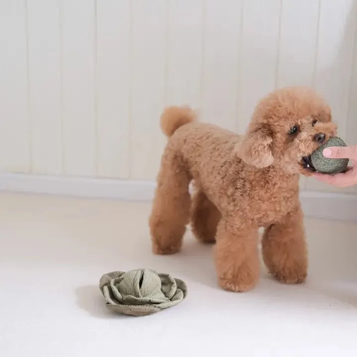 Jouet pour chien - Peluche de fouille + Pop Choux 🐾