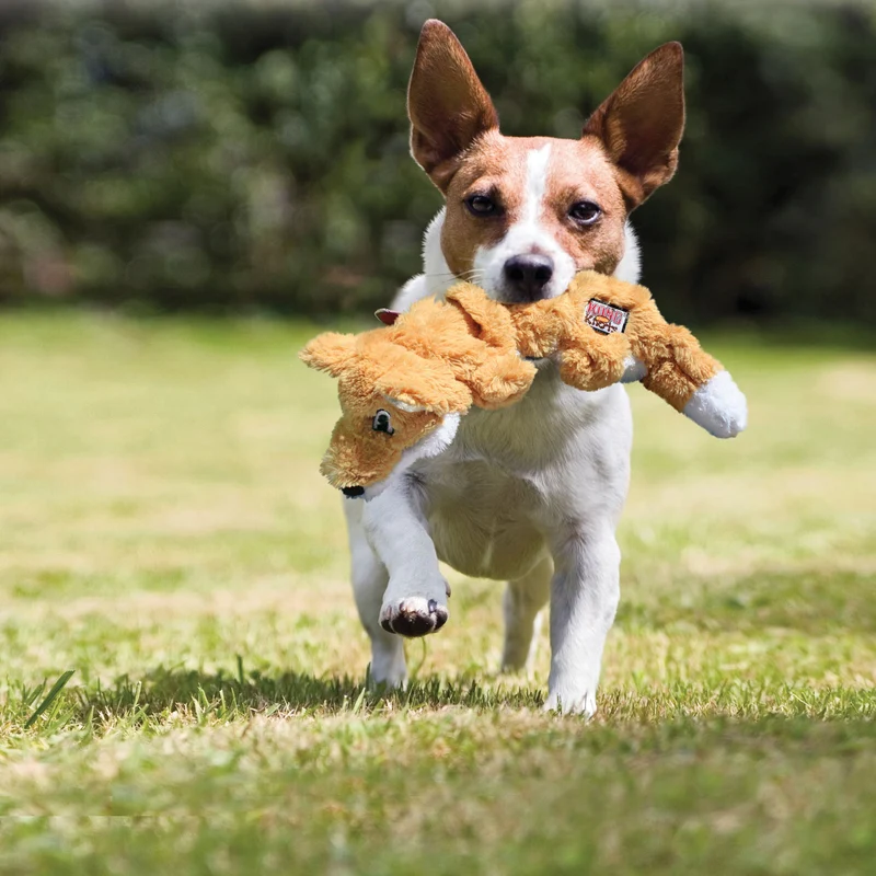 Hundespielzeug KONG® Scrunch Knots Fuchs