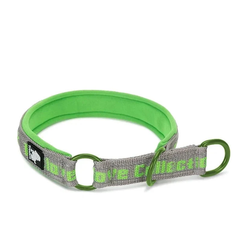 Collier étrangleur chien trulove vert