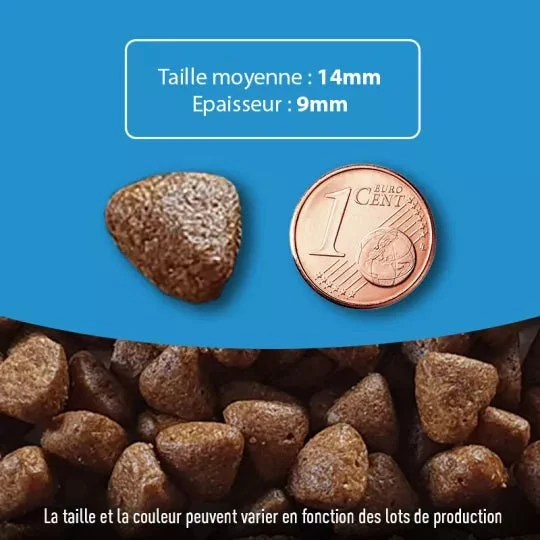 Croquettes chien sans céréales - Dinde riche en Canard - Made in France