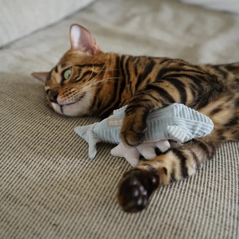 Jouet de Fouille pour Chat – Truite Kitty 🐟