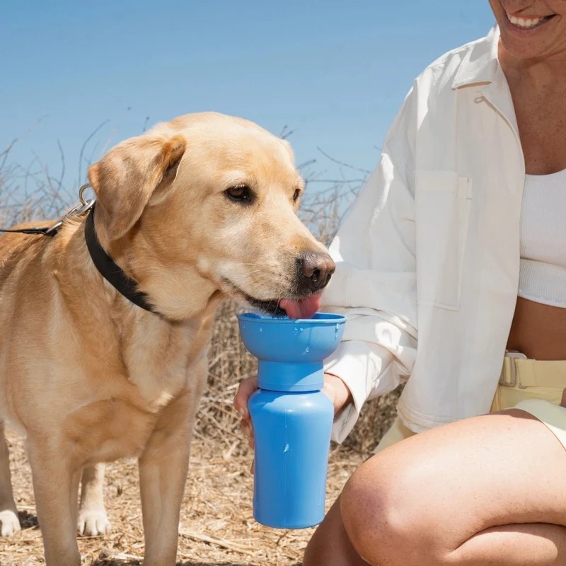 Gourde chien 590 ml étanche & pliable Springer Flip - 6 couleurs