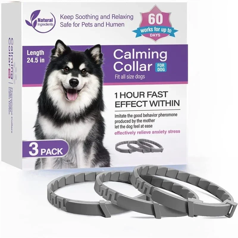 Collier anti-tiques pour chien