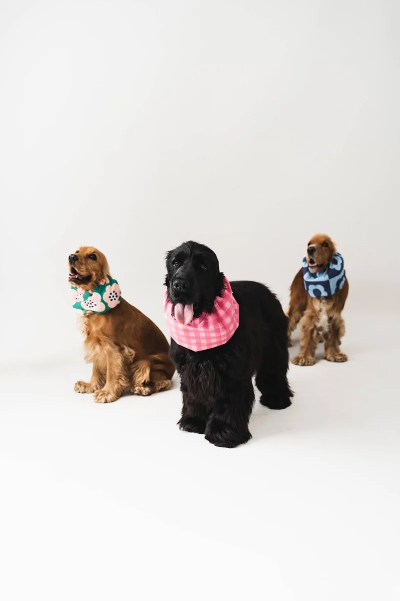 Snood Blue Flowers pour chiens - Élégance rétro pour longues oreilles