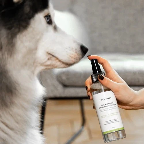 Eau Micellaire sans Rinçage pour Chien – Prébiotiques & Aloe Vera – Nettoyant Rafraîchissant & Hydratant