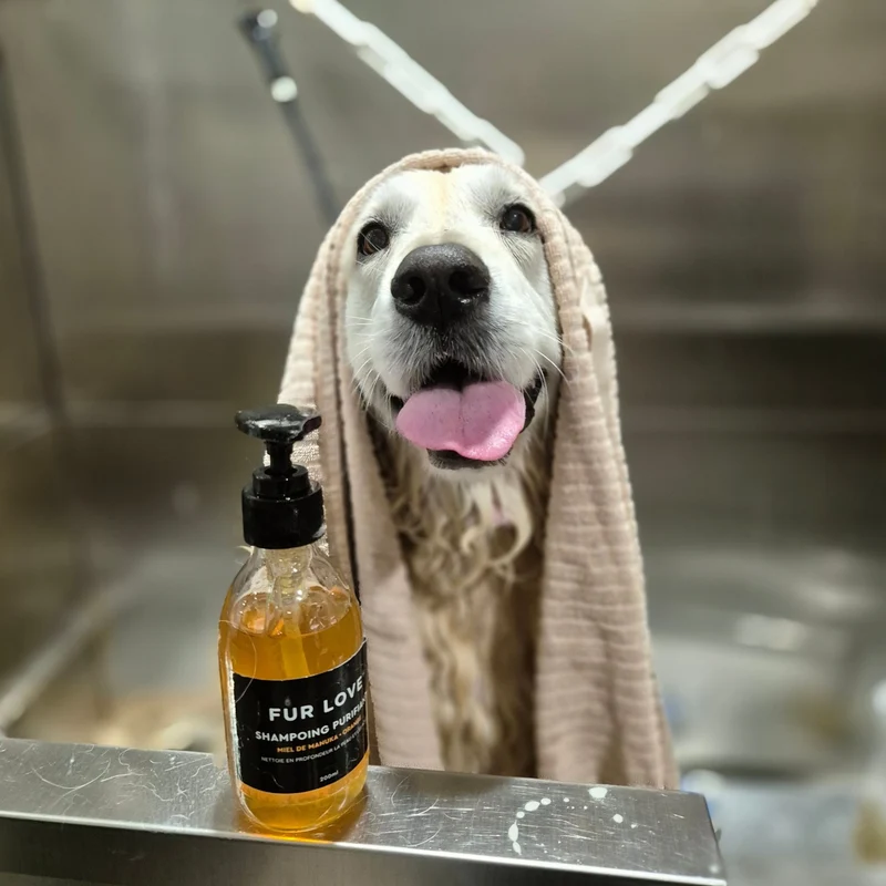 Shampoing Naturel au Miel de Manuka pour Peaux Sensibles - Spécial Démangeaisons & Irritation