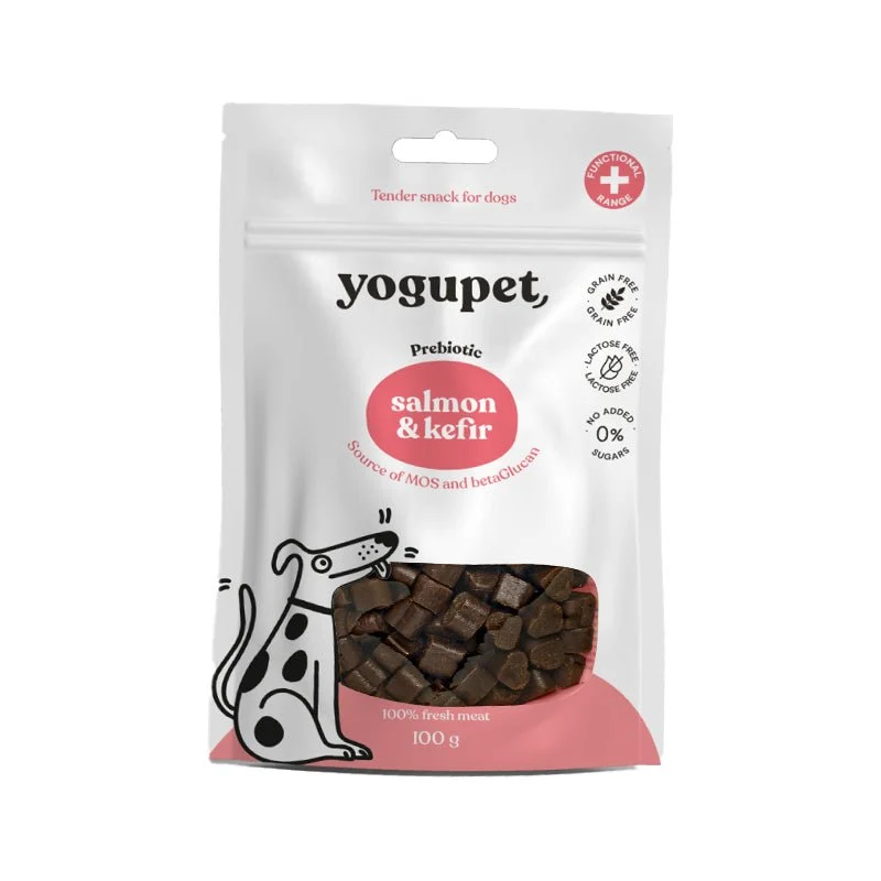 Snack au saumon et kéfir pour chien Yogupet - 100g