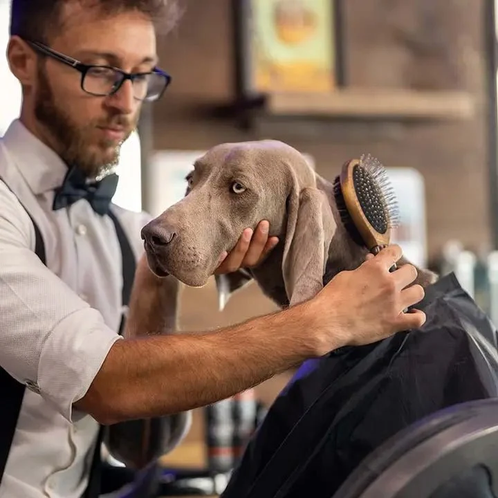Brosse Double Faces pour Chien Barbershop