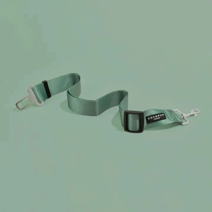 Ceinture de sécurité pour chien voiture – Plusieurs coloris – CocoPup London 🚗🐾