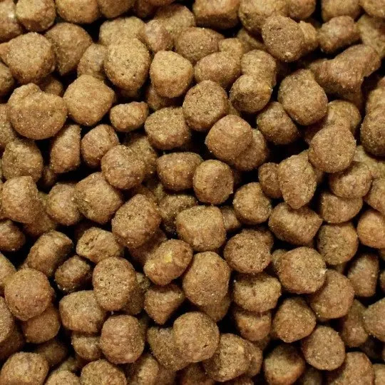 Croquettes chat sans céréales Poulet - Made in France - Nouveau Packaging