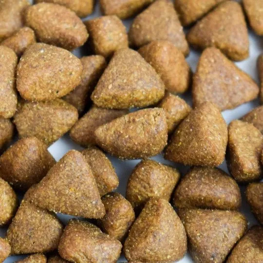 Croquettes chien sans céréales Poulet - Made in France - Nouveau Packaging