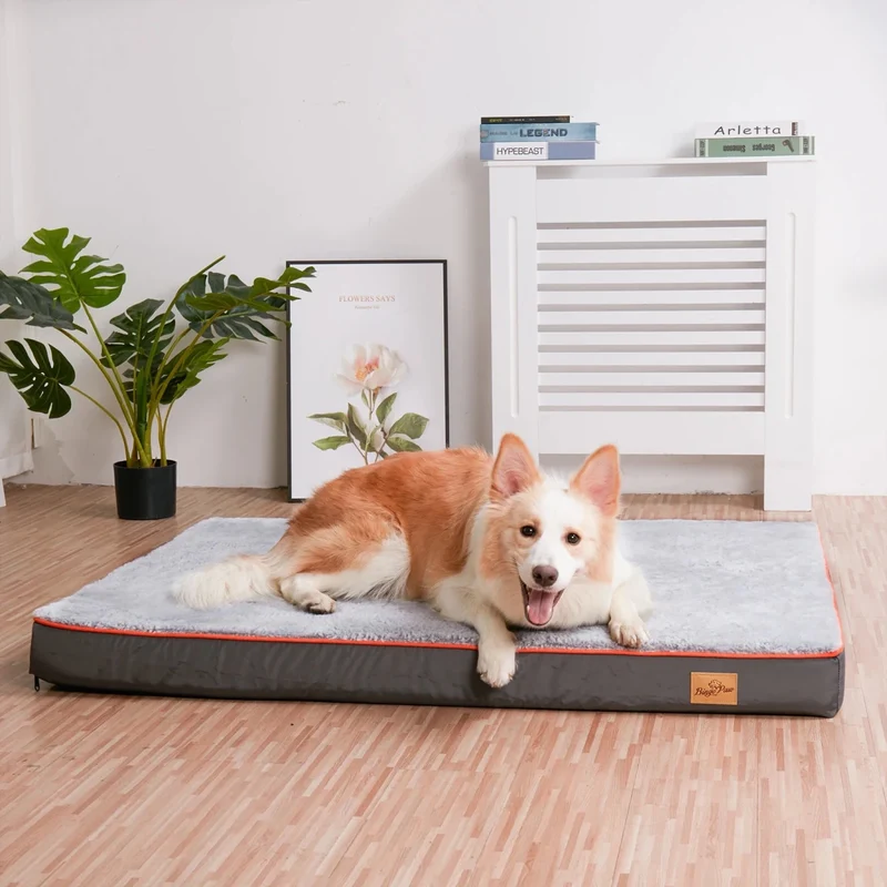 Grand tapis lavable pour chien