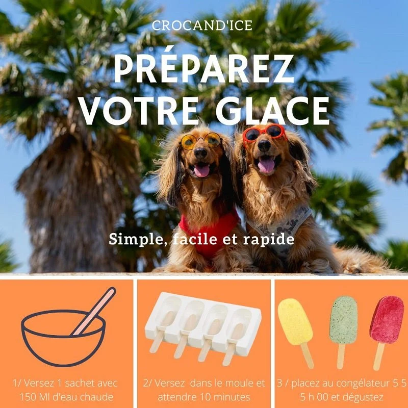 Kit Moule 4 glaces