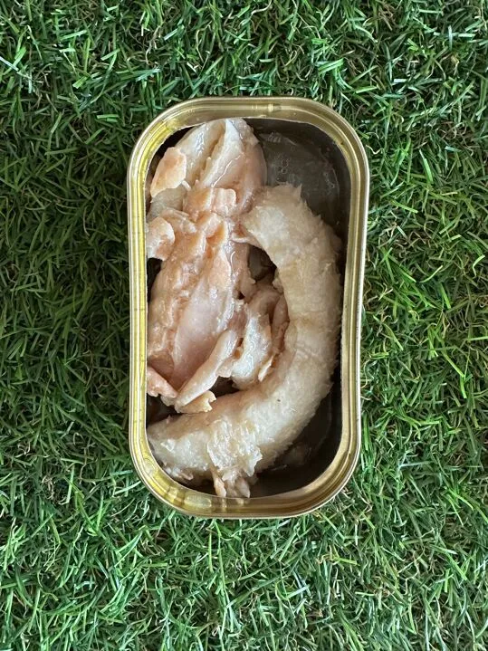Saumon naturel pour chats