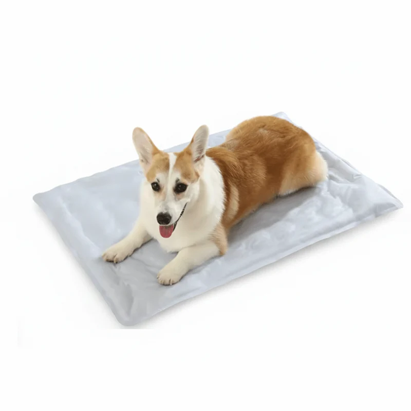 Tapis rafraîchissant à eau