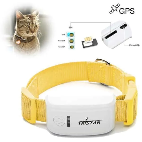 Collier GPS pour chat ou chien