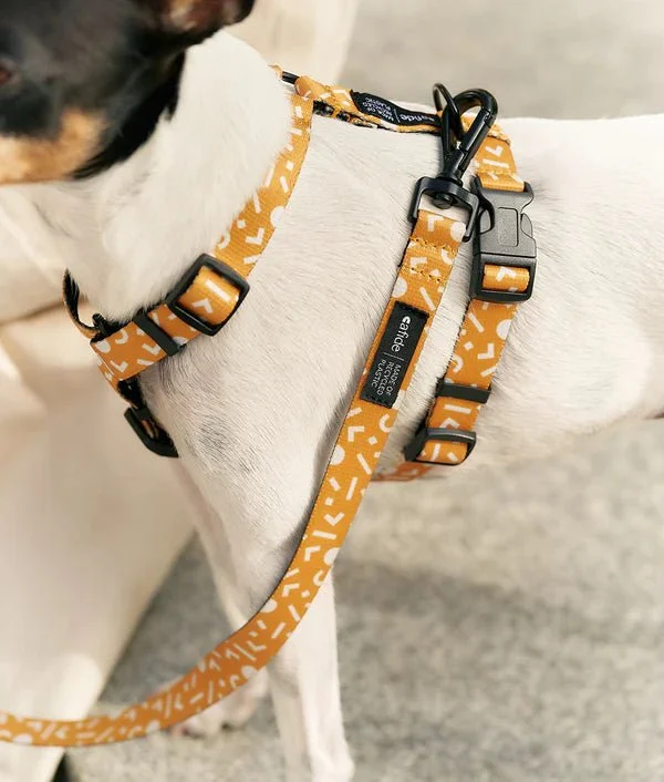 Laisse pour chien poignée 1m20 Memphis Jaune Moutarde