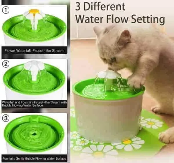 Fontaine à eau pour chats