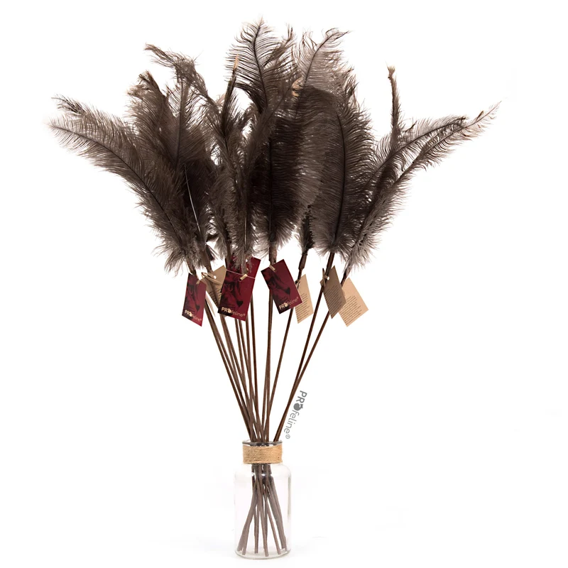 Jouet Plumeau pour chat en plumes d’autruche naturelles