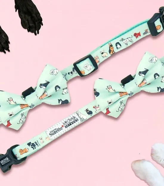 Collier en nylon à motifs pour chien - Coucou Suzette x Arizona Hotdogs