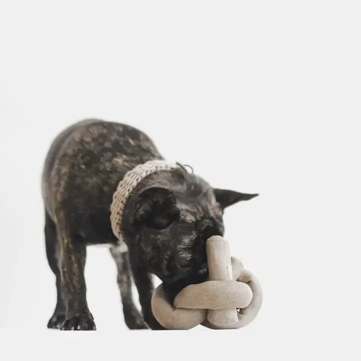 Jouet d'Occupation et de Fouille pour Chien Nounou 🍜