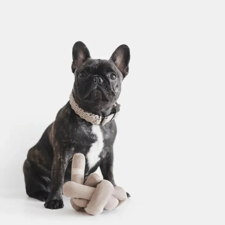 Jouet d'Occupation et de Fouille pour Chien Nounou 🍜