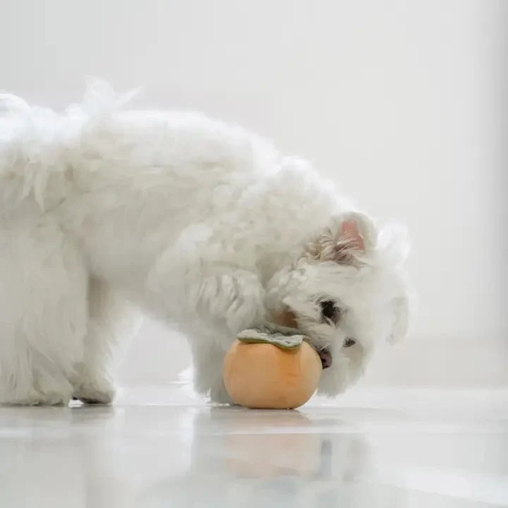 Jeu d'Occupation et de Fouille pour Chien - Kaki