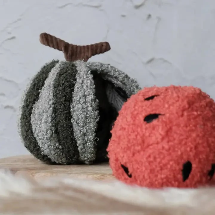 Jeu d’Occupation et de Fouille pour Chien – Balle Pastèque 🍉