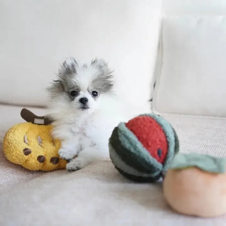 Jeu d’Occupation et de Fouille pour Chien – Balle Pastèque 🍉
