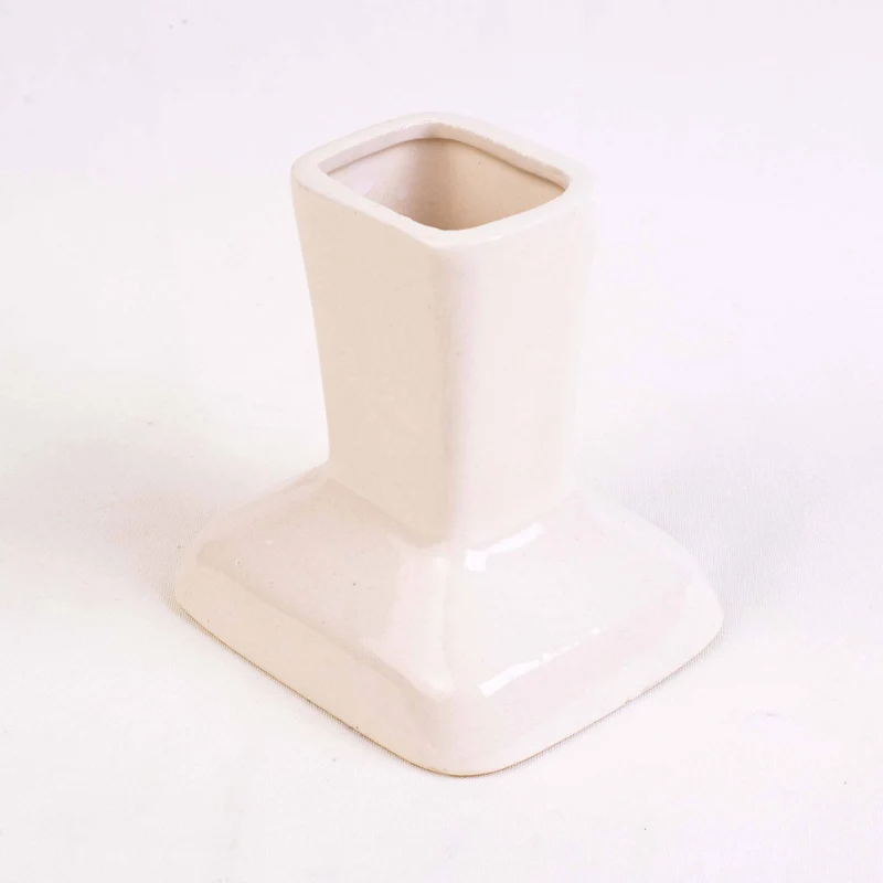 Vase en céramique avec herbe à chat – Bien-être digestif & déco naturelle