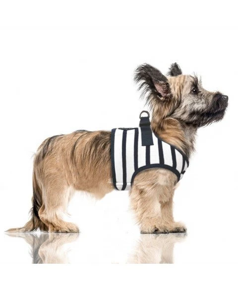 Harnais pour chien rayé marin Loan
