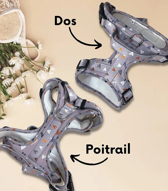 Harnais pour chien anti-traction - Comfy Sweet Love