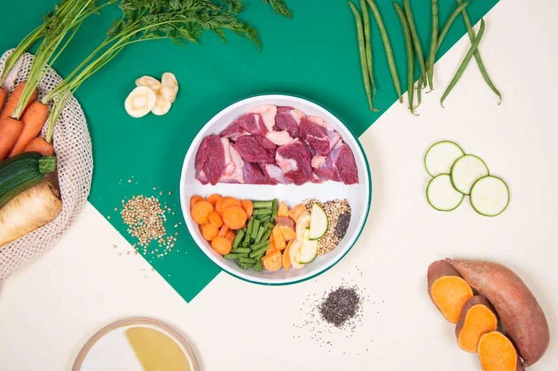 Recette Fraîche au Canard Hypoallergénique - DOG CHEF