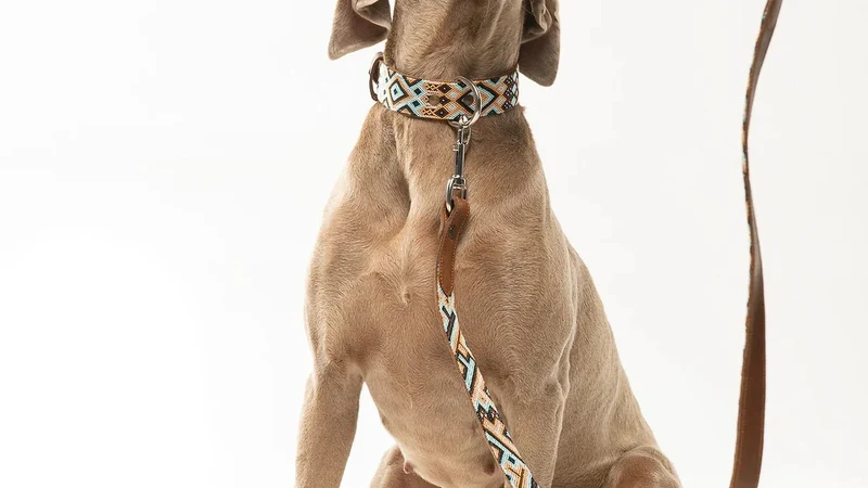 Collier pour chien en cuir brodé Holbox (broderie complète)