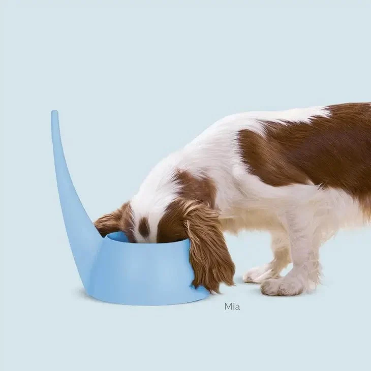 Gamelle étroite pour chiens à longues oreilles