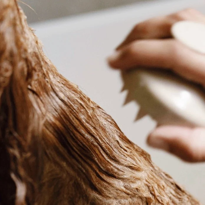 Brosse pour Chien pour la Douche en Silicone