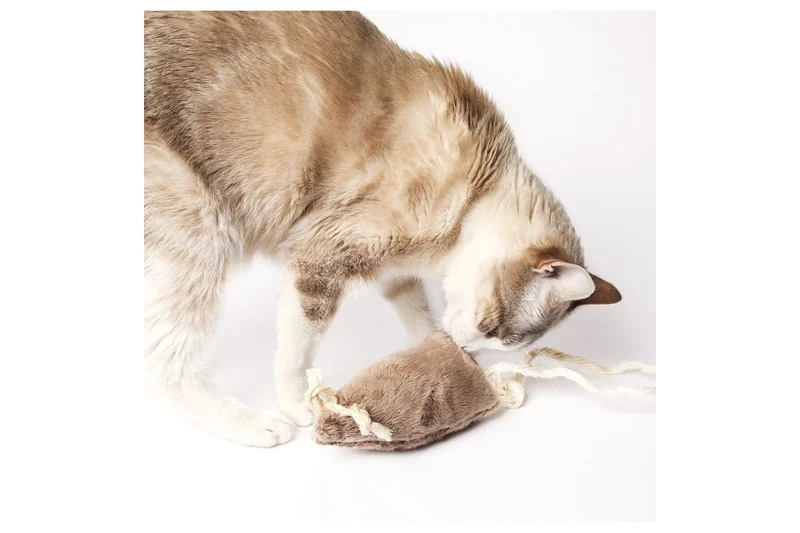 Souris à la valériane