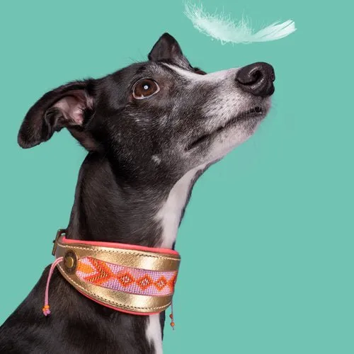 Collier Lévrier Sweet Mae