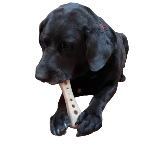 Jouet Os à mâcher pour chien en nylon