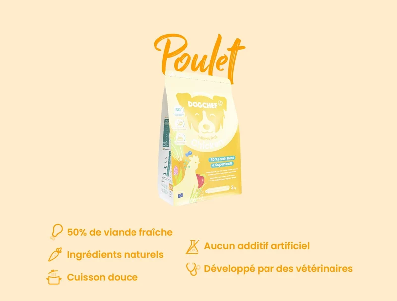 Croquettes Gourmandes au Poulet Frais