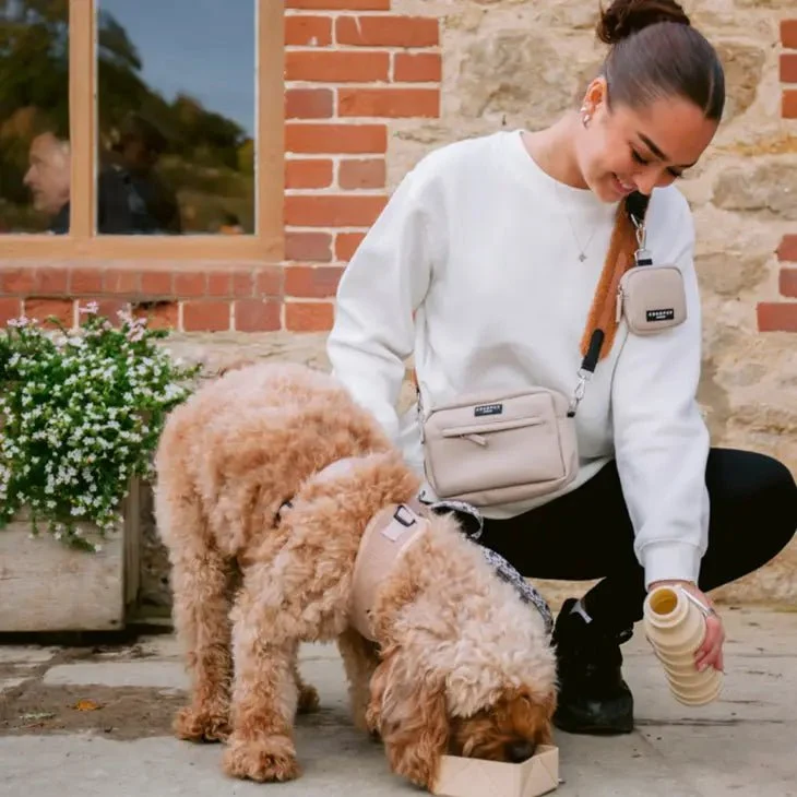 Bouteille d’eau pliable pour chien – Chic & Nomade