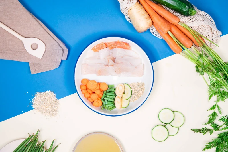 Recette Fraîche au Poisson Hypoallergénique - DOG CHEF