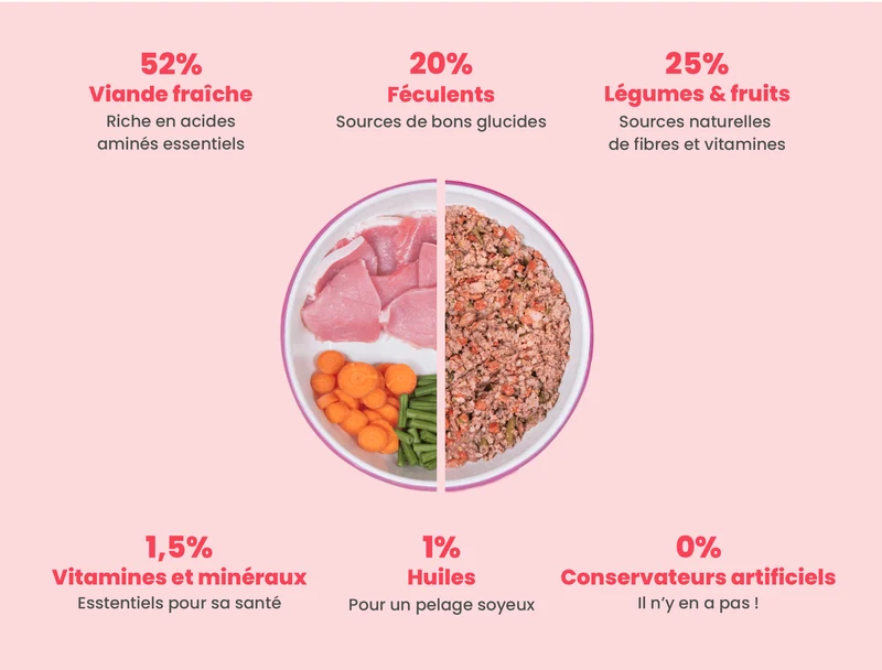 Recette Fraîche au Porc pour Chiens Sensibles - DOG CHEF