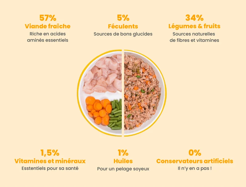 Recette Fraîche au Poulet pour Chiens sensibles - DOG CHEF